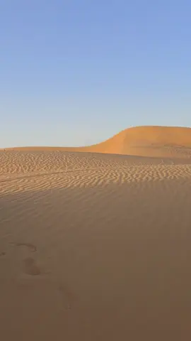 #تيوتا_شعار_لايعرف_القانون🔥🖤💪 #الزنتان_تااغرمين_الوااشين_🔥🦅 #الزنتان_طرابلس_مصراته_الزاويه_ليبيا🇱🇾❤️ 