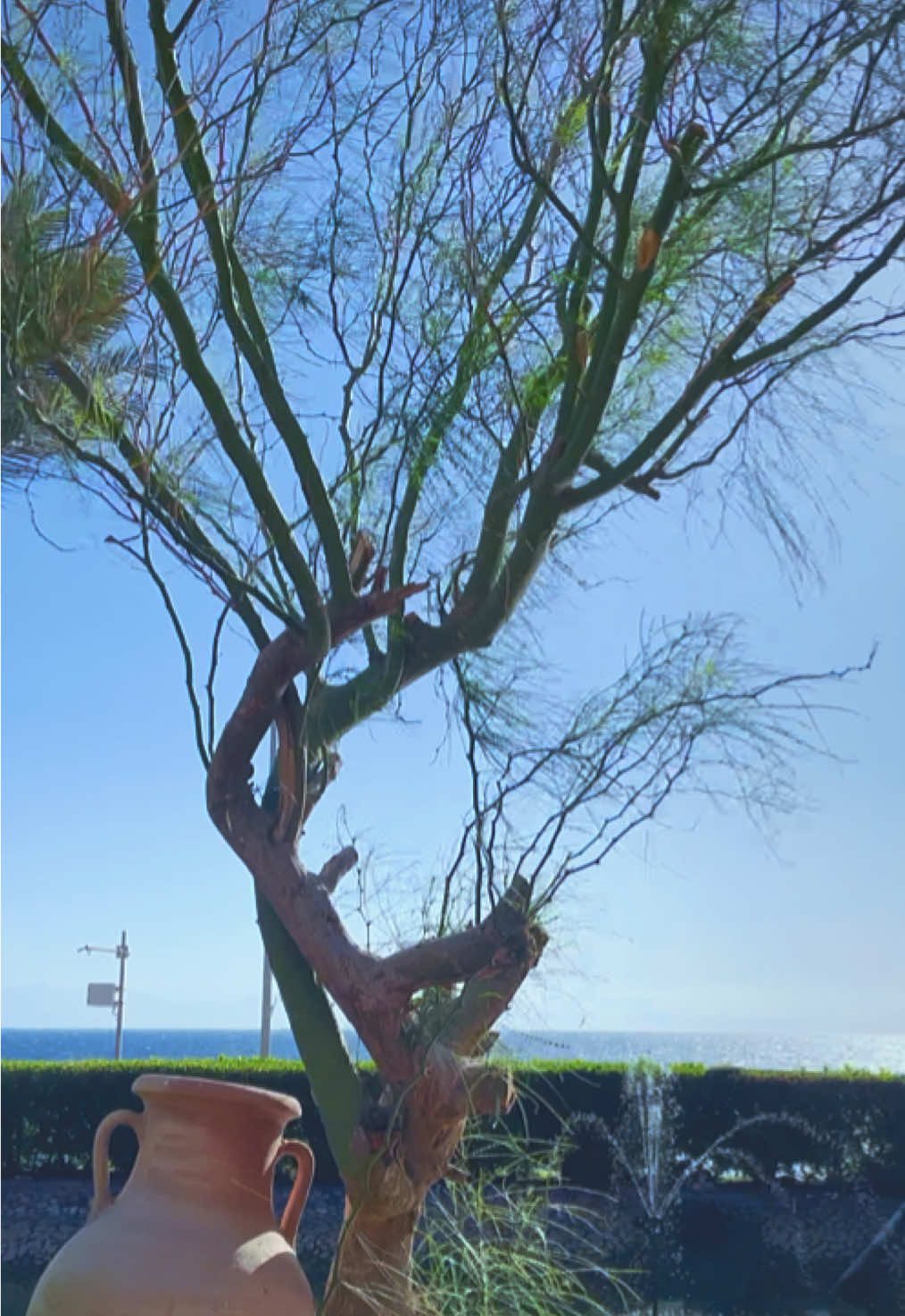 #goodmorning #mood #Love #peaceful 