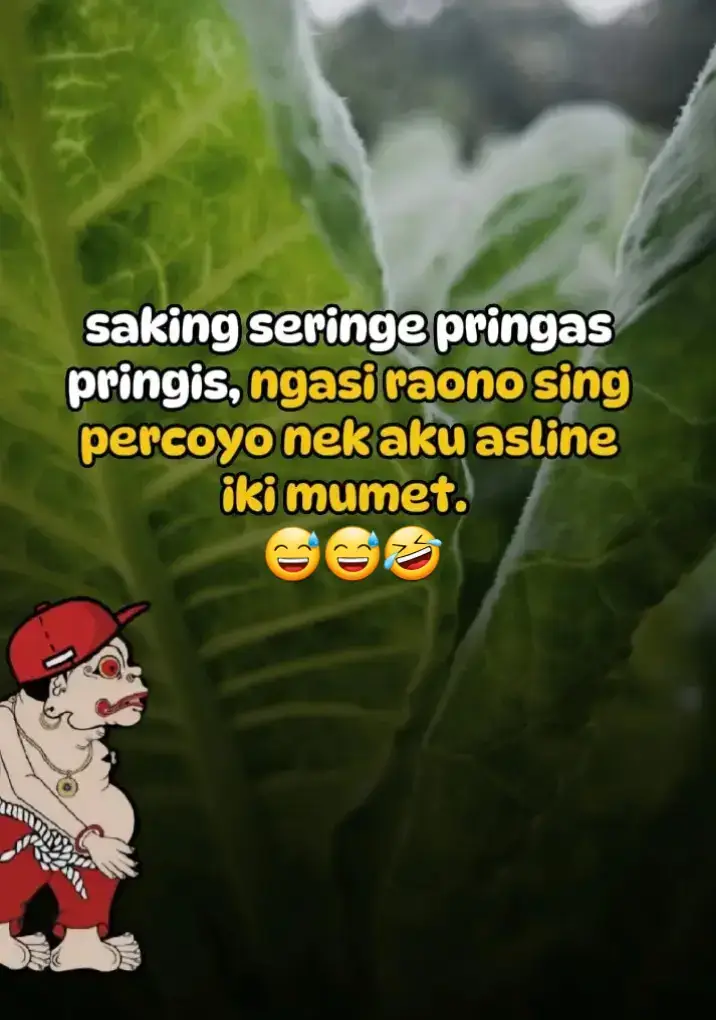 😁😁😅😅✌✌