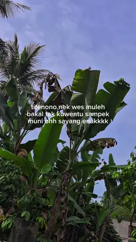 #fyp #xyzbcafypシ #foryoupage