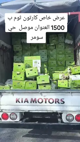 عرض خاص بتاريخ اليوم كارتون ثوم ب 1500العنوان حي سومر 