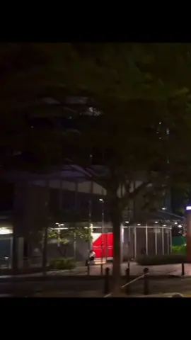 karna sa nyaman dengan koi😜