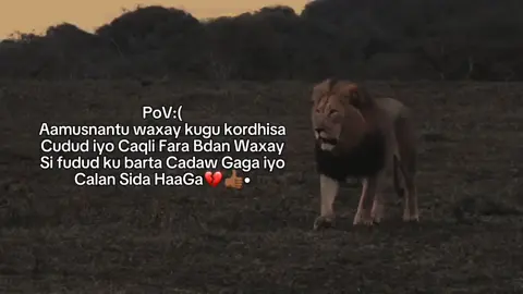 👍🏾💔 ##viral ##foryoupage 