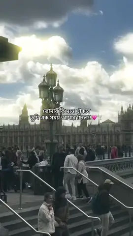 💗🕊️         #viral_video #viral_video_tiktok #foryou #foryoupage #foryoupageofficiall #sadcaptions 