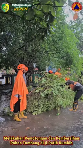 Penanganan Bencana Cuaca Extrim (Pohon Tumbang) di Wilayah Kota Palangka Raya. • Hari         : Kamis • Tanggal  : 6 November 2025 • Pukul      : 14.07 WIB s/d Selesai • Alamat   : Jl.Patih Rumbih Depan SDN 8 Langkai,Kel.Langkai,Kec.Pahandut Tim Dilapangan : - Dishut Provinsi Kalteng - BPBD Kota Palangka Raya - Damkar Kota Palangka Raya Pelapor : - Call Center 112 Sarpras : - Mesin chainshaw : 2 Unit - Parang : 1 Unit - Tangga : 1 Unit - Mobil Hilux : 1 Unit - Truck Skylife :  1 Unit - Mobil Mahindra : 1 Unit Deskripsi : TRC BPBD Kota Palangka Raya menindaklanjuti laporan Call Center 112 terdapat pohon tumbang ke jalan. TRC BPBD Kota Palangka Raya  berangkat ke lokasi kejadian untuk melakukan penebangan dan Perbersihan Pohon yg tumbang. Kerugian : Kabel Listrik putus,Sepeda Motor Rusak Ringan Korban : 1 Orang tertimpa Pohon mengalami luka di kaki dan di bawa ke rumah sakit. Upaya  : menebang dan mengamankan jalan Jumlah dan jenis pohon : 1 Pohon  Dokumentasi terlampir.  *PUSDALOPS BPBD KOTA PALANGKA RAYA* Alamat : Jl. Tjilik Riwut km 5,5 Kelurahan Bukit Tunggal Kecamatan Jekan Raya Kota Palangka Raya, Kalimantan Tengah CALL CENTER ☎ :  Patut             : 0822-5400-6245 Yen Saputra   : 0813-4862-5236 Balap            : 0822-5588-2532 _Kenali Ancamannya, Kurangi Resikonya._ ▪Sadar Bencana. ▪Siaga Bencana. ▪Tanggap Bencana. ▪Siap Untuk Selamat. ▪Bersinergi dalam menghadapi Bencana. SALAM TANGGUH ! 💪🤩👍🏻 SALAM KEMANUSIAAN KEMANUSIAAN⛑️ #palangkaraya #palangka  #bpbd  #kalimantantengah #kalteng_palangkaraya 