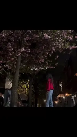 Teri Khushi na ho shamil #unfreezemyaccount #bestsongforyou #trendind #viralvideo 