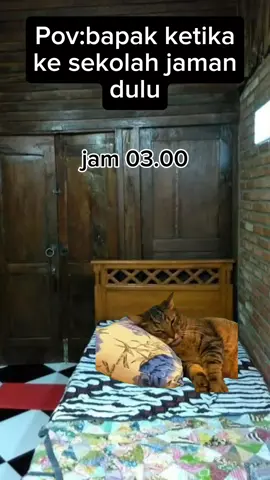 Endingnya😹😹😹 #memes #kucinglucu #shorts #catlovers