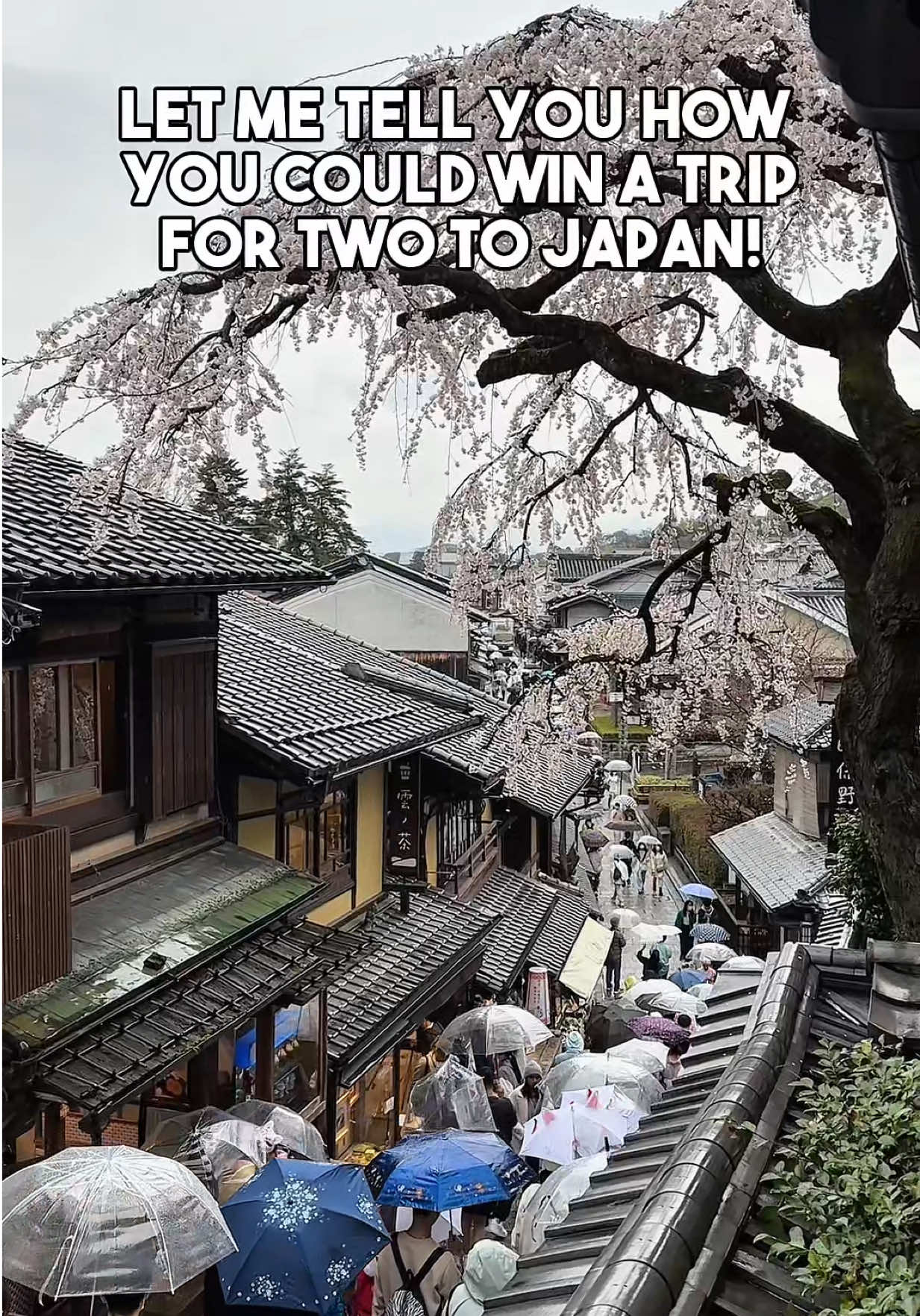 This holiday season, you can treat your family, friends or yourself and win something big! 🎄💻 Buy any eligible HP laptop or PC from JB Hi-Fi, upload your receipt, and you could win a trip for TWO to Japan 🇯🇵✨ plus over 1,500 Ultra prizes up for grabs! Powered by Intel® Core™ Ultra processors, that’s the power of Intel Inside®. ⚡️Exclusive to JB-HiFi [AD] #HPAIPC #HPOmniBook #IntelCoreUltra #IntelEvo #UltraSurprise 