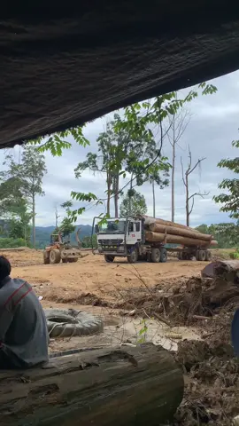 kemarau ketuaa#actros4043 #loggingkalimantan 