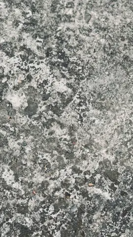 Monitor lapor ketua 🙌🏻 💃🏻💃🏻