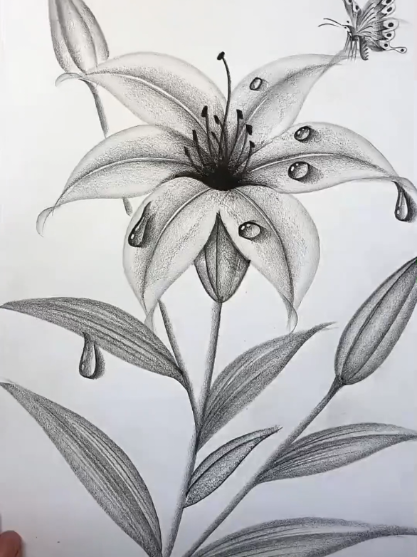 How To Draw With a Pencil ✏️  . . . #howtodraw #drawingchallenge #drawingforbeginners #artist #artistsoftiktok 