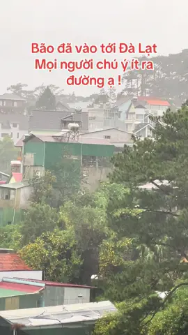 Bão đã vào tới Đà Lạt .mọi người chú ý ít hạn chế ra đường ạ  #dulichdalat #dalat #ototulaidalat #dalatreview #xuhuong 