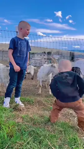 Children and Animals#children#funnyvideos #fyp #funnyanimals 