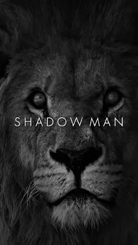 Eksede,korkuluk dikmez ! • • • • • • • • • • • • • • • • • • • #aslan #lafsokma #racon #kuş #ekim 