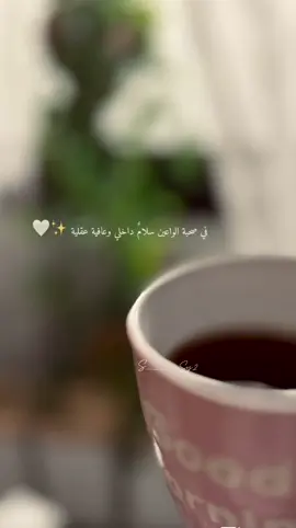 #اكسبلور #explore 🤍🕊️