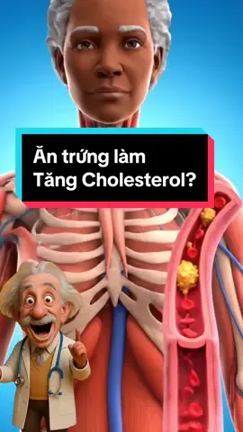 Ăn trứng có làm tăng Cholesterol không ? #doctor #health #suckhoe #giamcan #suthatkhoahoc 