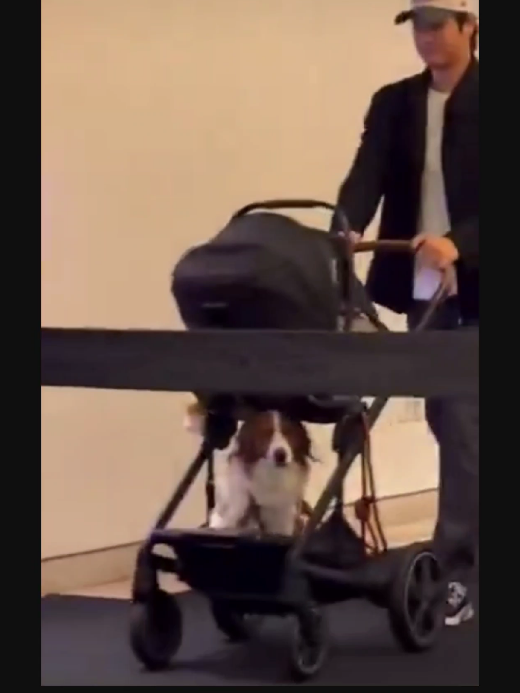 #デコピン ベビーカーで登場 #大谷翔平 さんが赤ちゃんの様子を確認する姿が素敵 #真美子さん #ベビーカー  #大谷夫妻 