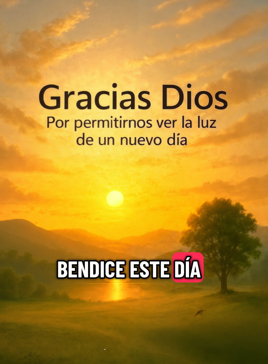 #Gracias Señor mi Dios #por un día más #palabra de aliento y fortaleza 🙏🙏🙇🤚📖🧎