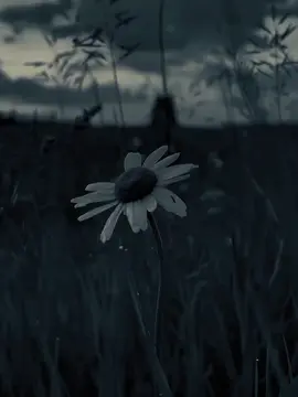 #CapCut #dianastemplate #trending #foryou #fypage 