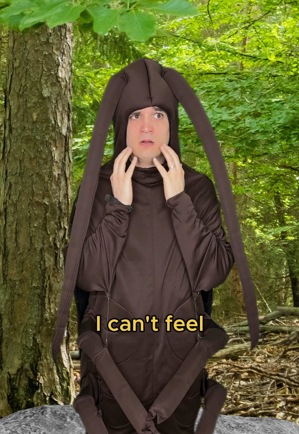 Cockroach real estate 🪳 #comedy #music #parody of #icantfeelmyface by #theweeknd 