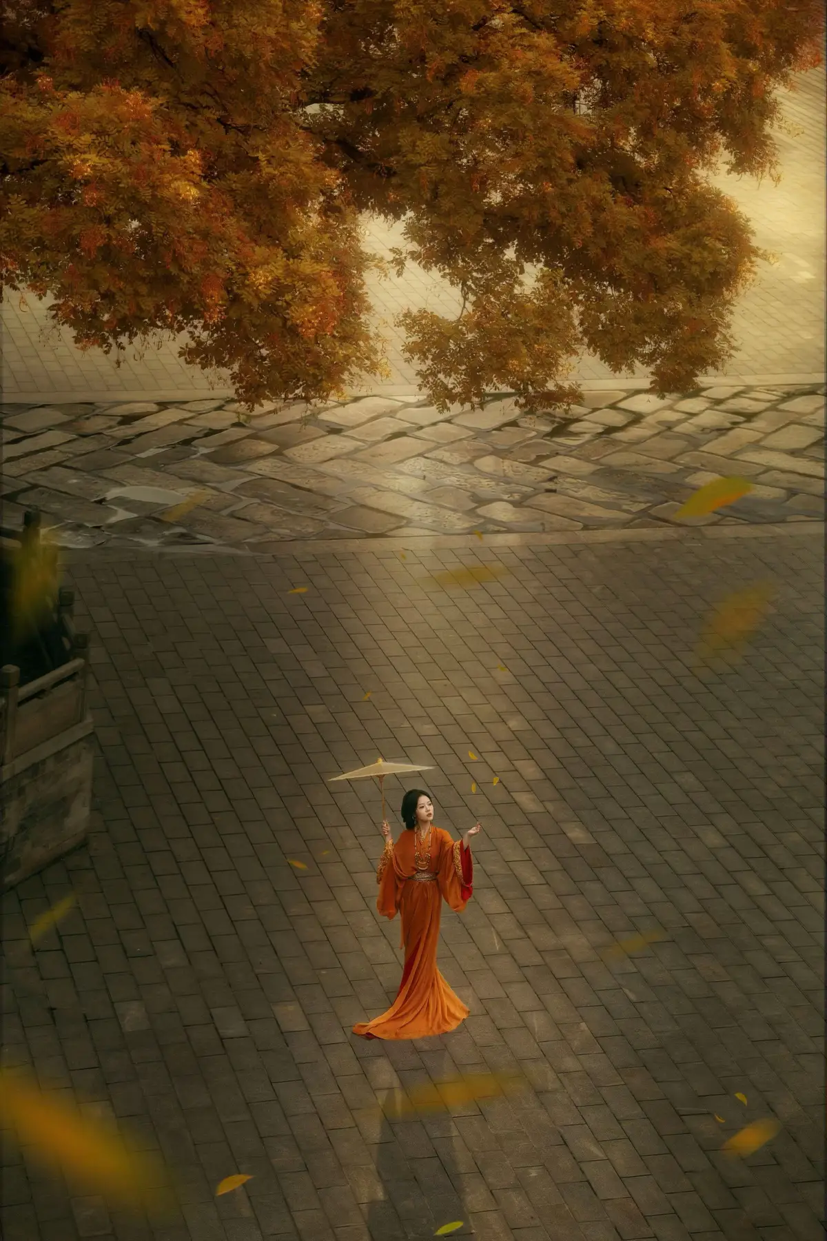 后期给出秋天该有的样子... 🍂🍂🍂 #古风摄影 #摄影师小成美 #摄影师senpai #ZINmedia #图文伙伴计划2025 