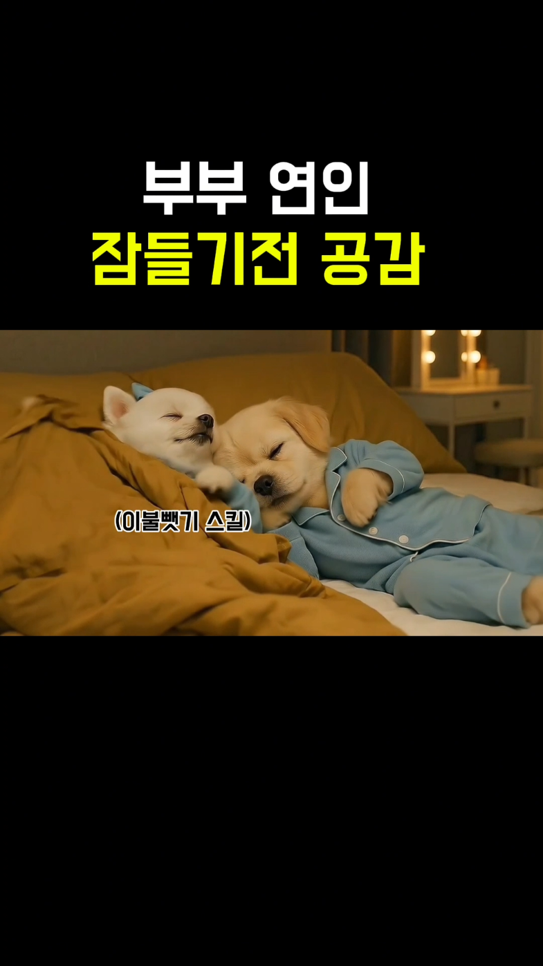 핸드폰은 얼굴로, 남편은 바닥으로 떨어졌다 😂 포콩은 핸드폰 보다가 ‘쿵!’ 얼굴에 떨어뜨리고, 말콩은 자다 ‘뿌웅~’ 방귀 한 방, 서로 대화 좀 하려는데 한 명은 바로 잠들고… 이불은 포콩에게, 잠꼬대는 말콩에게, 그리고 결말은? 💥 포콩의 잠꼬대 한 방에 말콩은 침대 밖으로 추락! 웃기지만 왠지 공감되는, 부부 스토리 🐶💤 #공감영상 #일상브이로그 #funny #힐링 #강아지 #댕댕이 #dog #dogs #연애 #부부 #웃긴영상 #웃긴짤 #犬スタグラム  #부부공감 #연인공감 