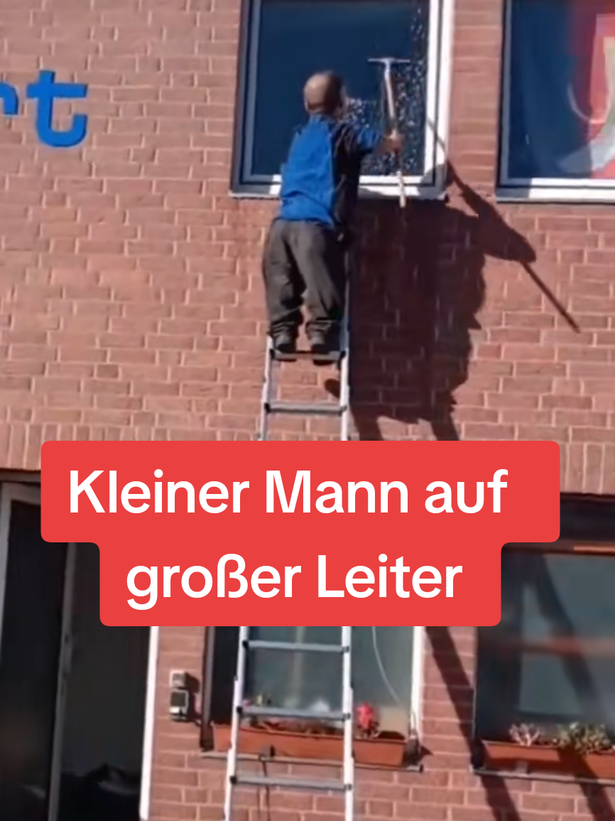 King of Kalli #erinnerung 