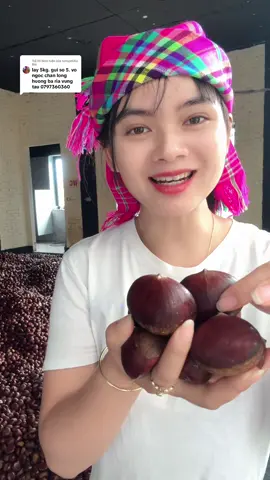 Trả lời @nshsjshXíu Bùi chị iu đặt hàng ở giỏ hàng giúp em nhé combo 5kg hạt dẻ to ngon hạt khổng lồ giá hời #hatde #xuhuongtiktok #tieuboilaocai 