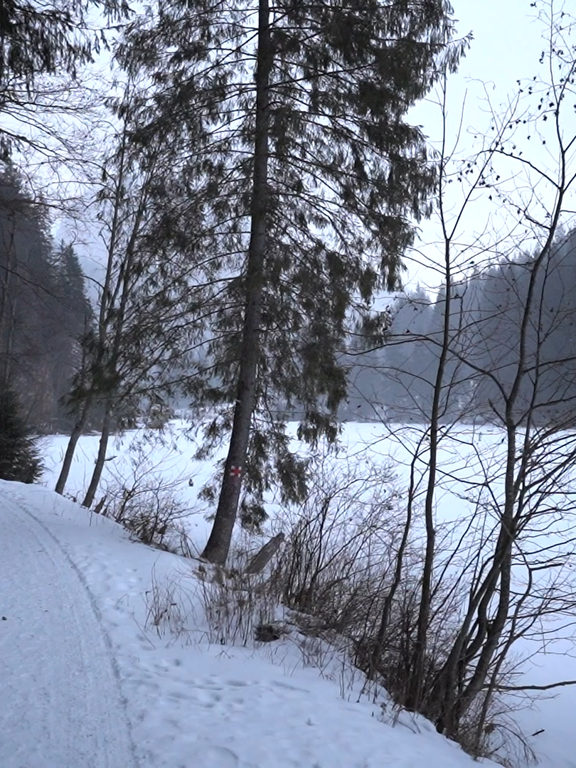 Iarna 2025–2026 se anunță una cu de toate pentru România. Meteorologii prognozează un început blând, cu temperaturi peste media normală a perioadei, dar avertizează că nu vor lipsi episoadele de ger, viscol și ninsori consistente, mai ales în a doua parte a sezonului rece.