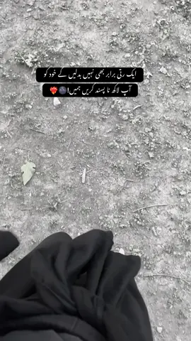 #fypppppppppp #trending #fyppppppppppppppppppppppp 