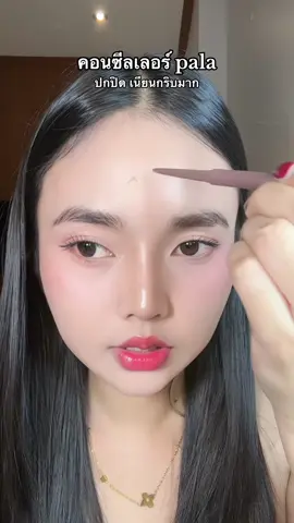 #รีวิวบิวตี้ #tiktokป้ายยา #คอนซีลเลอร์ #pala 