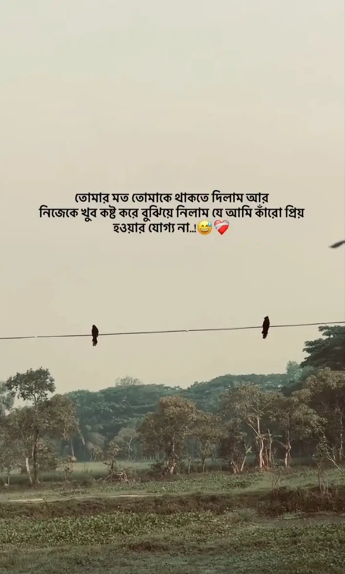 -😅❤️‍🩹-\#Outfit Cowok Berwarna #foryoupage 