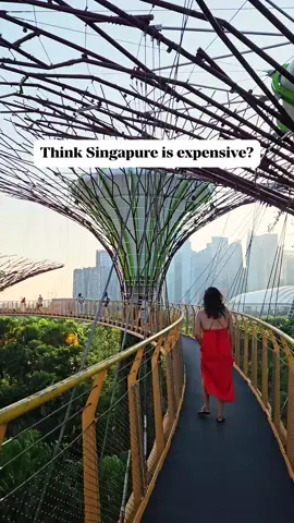 Singapore's best secrets are FREE 🇸🇬🤫 These spots won't cost you a thing: 🙏 Buddha Tooth Relic Temple 🚤 Pulau Ubin bike life 💦 Spectra light & water show 🕌 Sultan Mosque 🎭 Garden Rhapsody light show 🌳 Supertree Grove Want ALL our Singapore budget hacks? Comment 