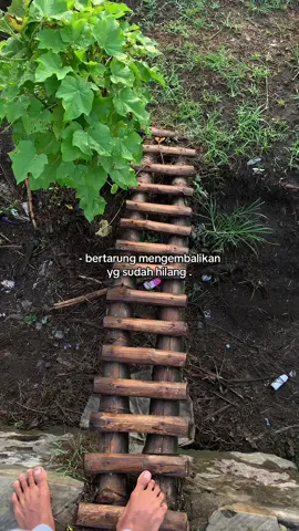 #beranda #trend #fypシ゚ #4you 