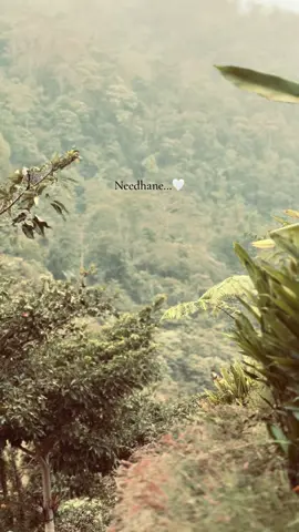 🫠🤍 #creatorsearchinsights #fyp #tamil #neethane #foryou 