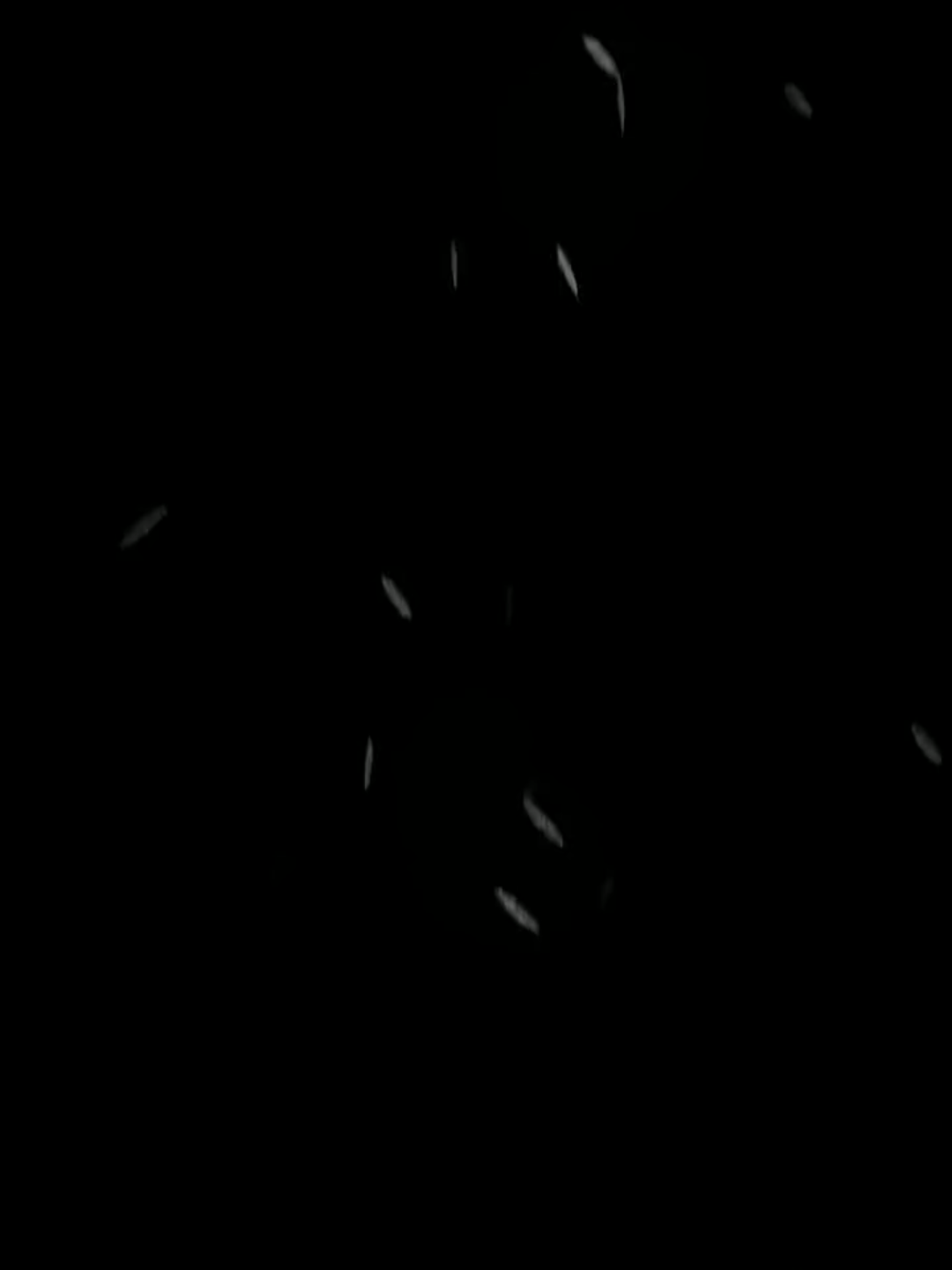 #donghua  #donghuaedit  #LawOfDevil  #medusa  #fyppppp  #foryoupage