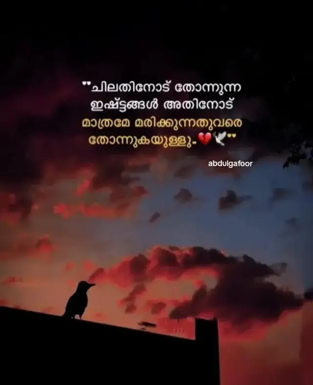 #flypシ #foryoupage #abudhabi🇦🇪 #tictokvidios #onthisday #tiktokmalayalamm 