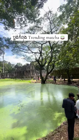 ប្លង់កំពុង Trending matcha#trending #ប្រាសាទព្រះខ័ន្ត #សៀមរាប 