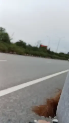 mệt mỏi quá Bắc Giang y thương ♥️♥️☘️