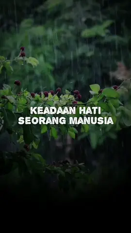 Keadaan Hati Seorang Manusia Syaikh Shalih Al Utsaimin Rahimahullahu Taala Free save & share, jangan lupa follow @ad_dinu_nashihah agar nasihat ini dapat tersebar dan bermanfaat untuk orang banyak, syukron jazzakallah khoiron #kajianislam #kajian #naspihat #ceramah #islamicreels 