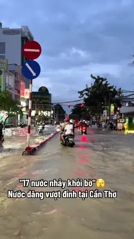 Quá xá mực nước hôm nay rồi bạn mình ạ!🫣#xuhuongtiktok #LearnOnTikTok #fyp #viral #65cantho 