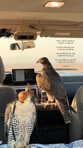 ‏ ‏وغامر على الراي الموشح شجاعه ‏وارسم طموحً غايته مالها حد #بندر_عجب ‏