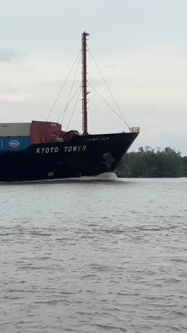 Khi những con tàu khổng Lồ chạy qua #riwiew #xuhuong #trảinghiệm #cangio 