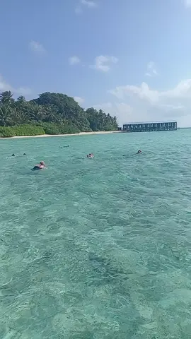 #viral #trending #youtube 