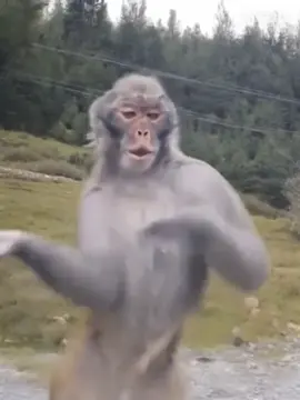 PEREMPUAN KALAU JUMPA KAMERA😁😂😂#funnyvideos #ngakakkocak #videolucu #fyppppppppppppppppppppppp #😂😂 