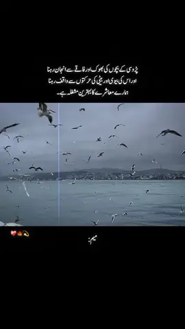 fr .   . . . . . . .#fyp #onemillionaudition #unfreezemyaccount #viewsproblem 