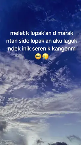 cume Vt ndekn lebih🤣#sasaklombok🌴🌴 