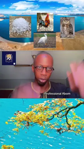 If you want to be Comfortable in life,then is for you.