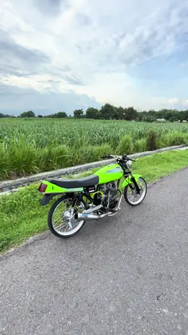 💚#officialwalisongo #walisongoofficial #w9style 