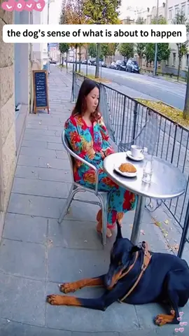 the dog's sense of what is about to happen❤️ dog save owner 🥰 #dog #baby #bestfriend #Love #foryou#owner 